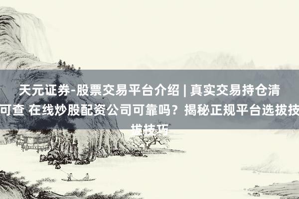 天元证券-股票交易平台介绍 | 真实交易持仓清晰可查 在线炒股配资公司可靠吗？揭秘正规平台选拔技巧