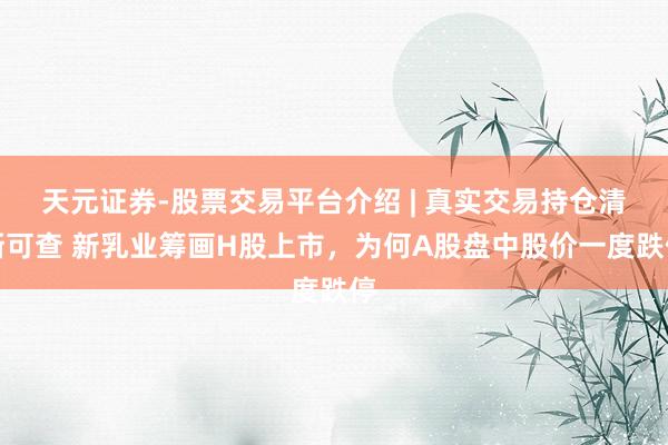 天元证券-股票交易平台介绍 | 真实交易持仓清晰可查 新乳业筹画H股上市，为何A股盘中股价一度跌停